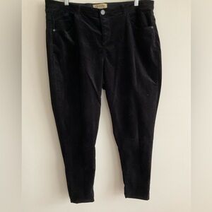 Democracy Velvet Jeans